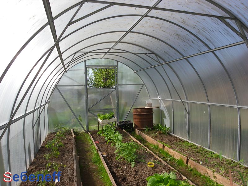 теплица из поликарбоната