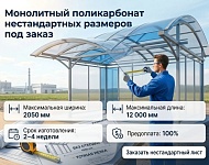 фото Монолитный поликарбонат нестандартных размеров под заказ